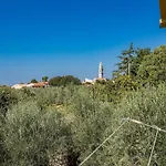 In Near Center *